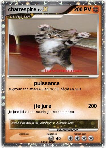 Pokemon chatrespire