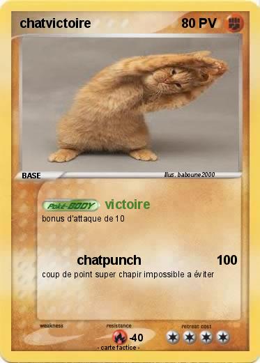 Pokemon chatvictoire