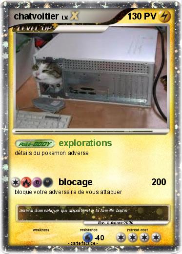Pokemon chatvoitier