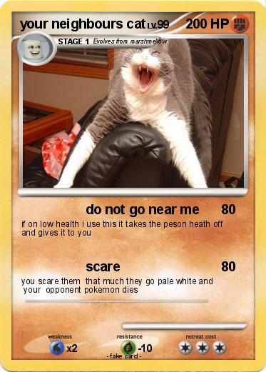 Pokemon your neighbours cat