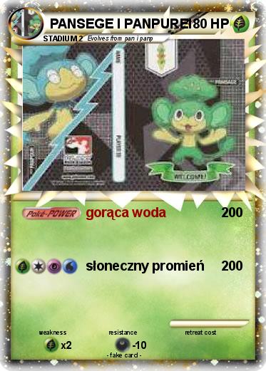 Pokemon PANSEGE I PANPURE