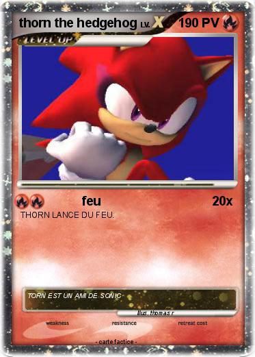 Pokemon thorn the hedgehog