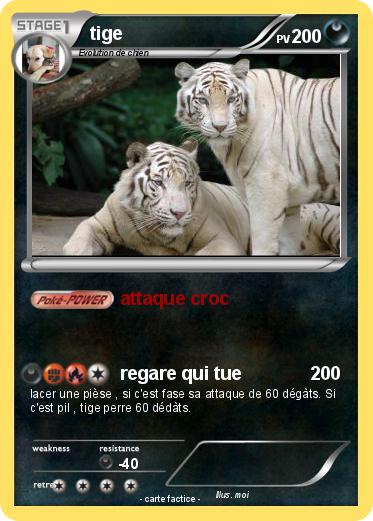 Pokemon tige