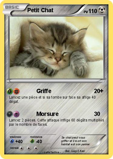 Pokemon Petit Chat