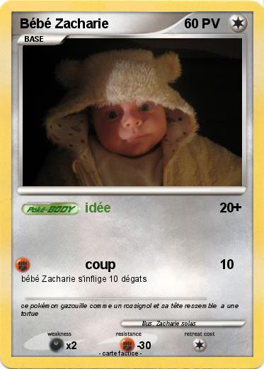 Pokemon Bébé Zacharie