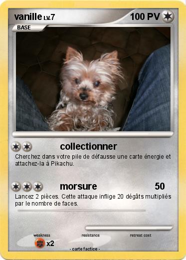 Pokemon vanille