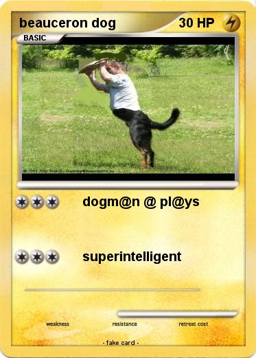 Pokemon beauceron dog