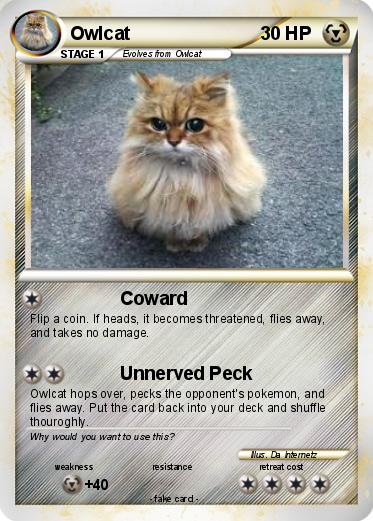 Pokemon Owlcat