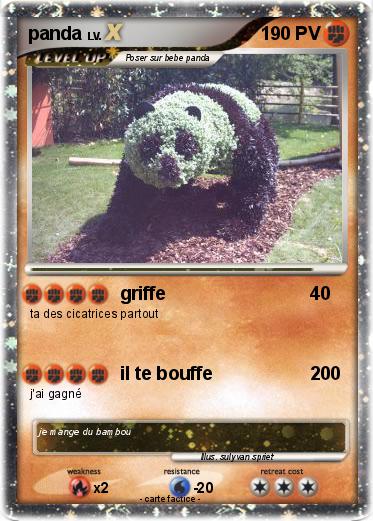 Pokemon panda