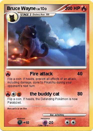 Pokemon Bruce Wayne