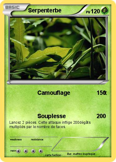 Pokemon Serpenterbe