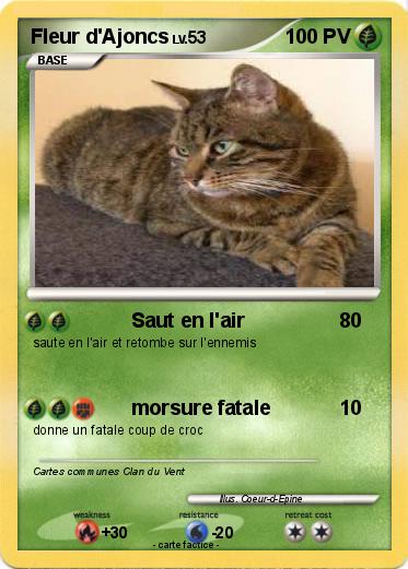 Pokemon Fleur d'Ajoncs