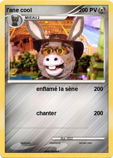 Pokemon l'ane cool