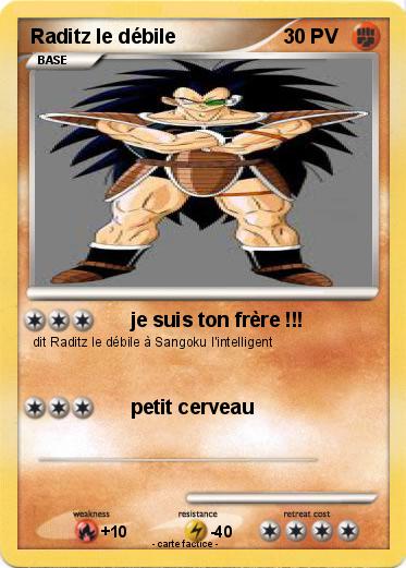 Pokemon Raditz le débile