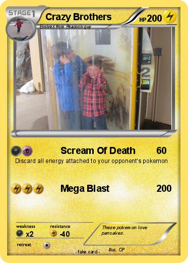 Pokemon Crazy Brothers