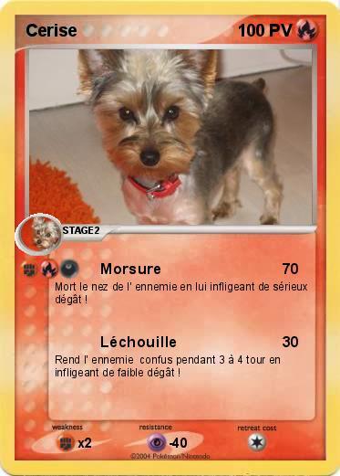 Pokemon Cerise