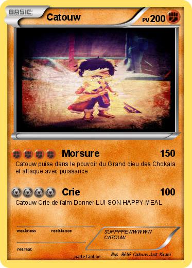 Pokemon Catouw