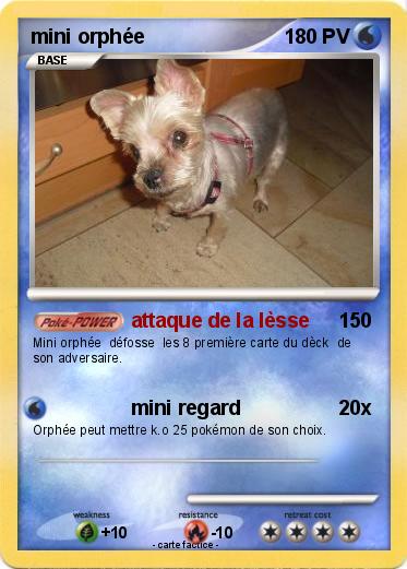 Pokemon mini orphée