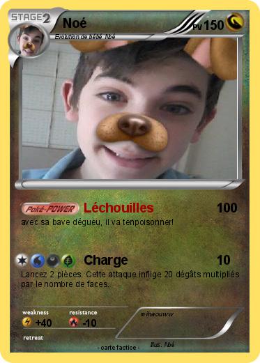 Pokemon Noé