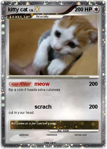 Pokemon kitty cat