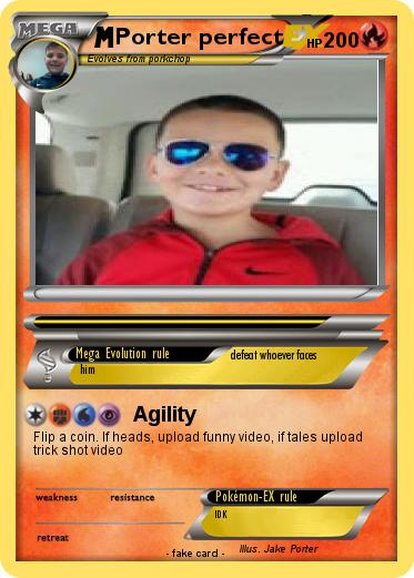 Pokemon Porter perfect