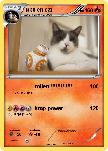 Pokemon bb8 en cat