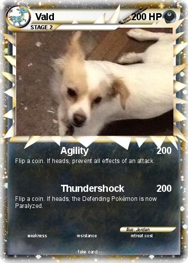 Pokemon Vald