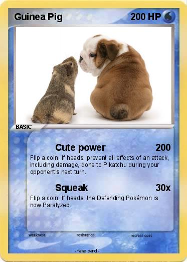 Pokemon Guinea Pig
