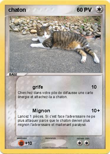 Pokemon chaton