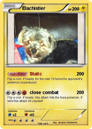 Pokemon Elachistier