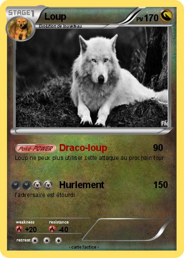 Pokemon Loup