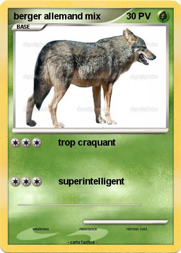 Pokemon berger allemand mix