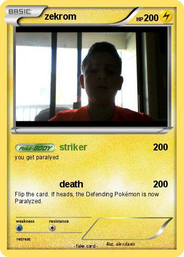 Pokemon zekrom