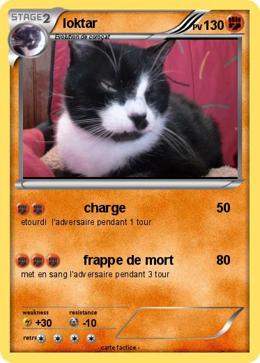 Pokemon loktar