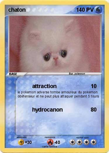 Pokemon chaton