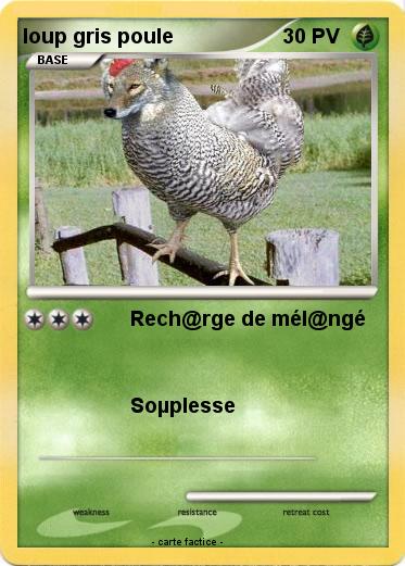 Pokemon loup gris poule