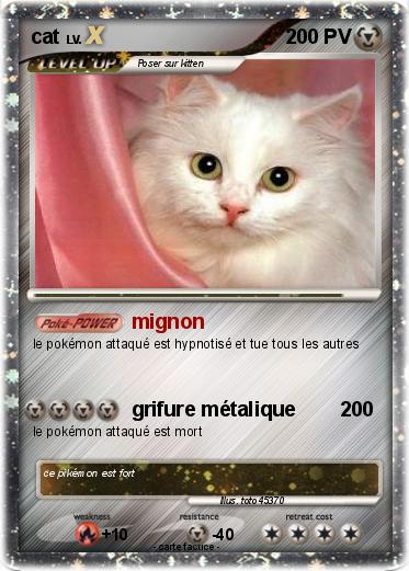 Pokemon cat