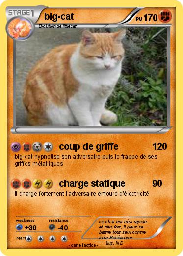 Pokemon big-cat