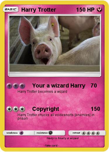 Pokemon Harry Trotter