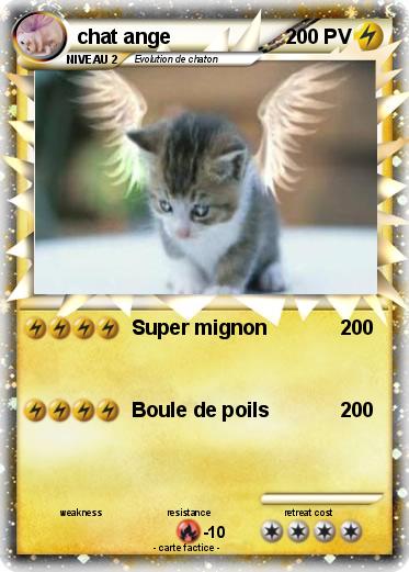Pokemon chat ange