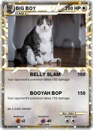 Pokemon BIG BOY