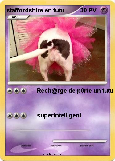 Pokemon staffordshire en tutu