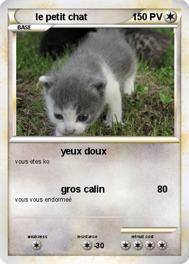 Pokemon le petit chat