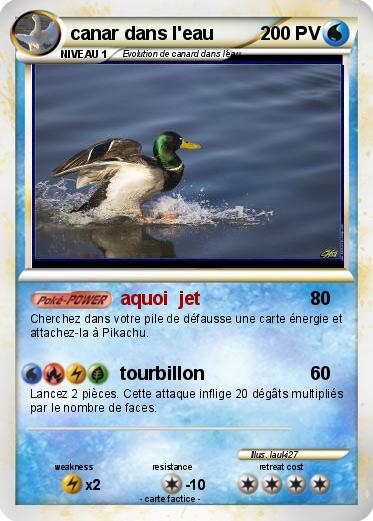 Pokemon canar dans l'eau