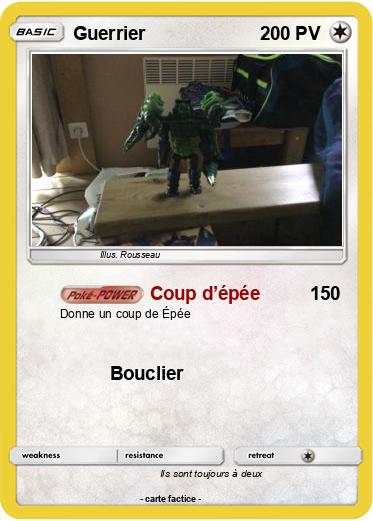 Pokemon Guerrier