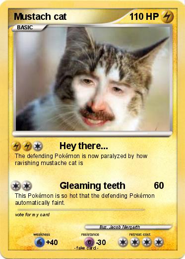 Pokemon Mustach cat