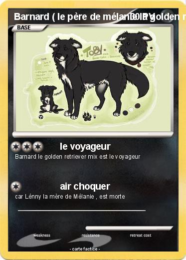 Pokemon Barnard ( le père de mélanie la golden retriever )