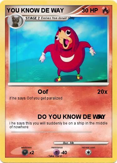 Pokemon YOU KNOW DE WAY