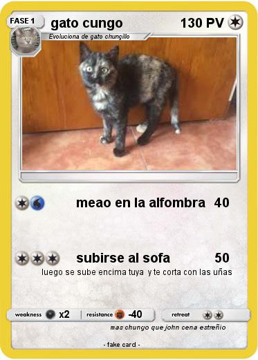Pokemon gato cungo