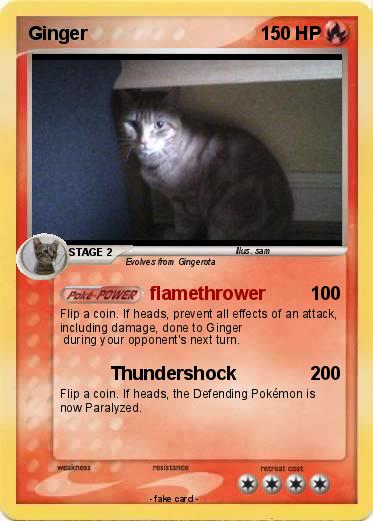 Pokemon Ginger